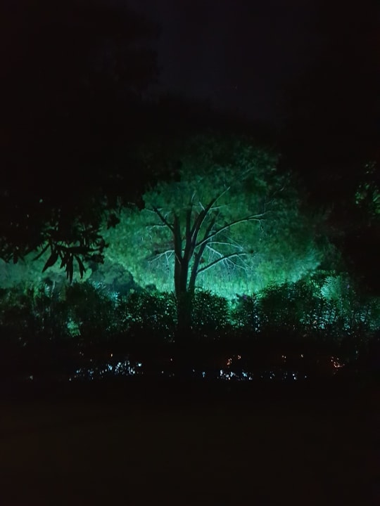 Außenansicht Gloria Serenity Resort