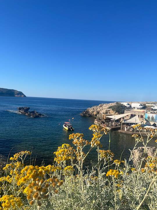 Ausblick Parque Nereida Suites Hotel