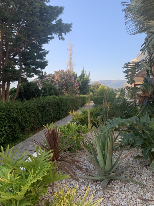 Außenansicht Hotel Esperia