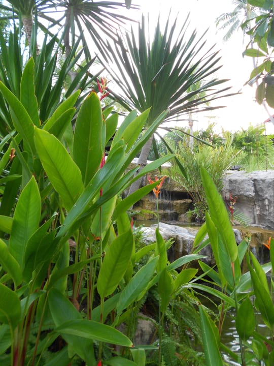 Kleiner Wasserfall Melati Beach Resort & Spa