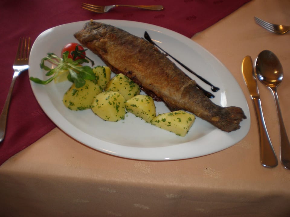 Forelle von Fischzucht Kölbl Zur Linde Gasthof Hotel