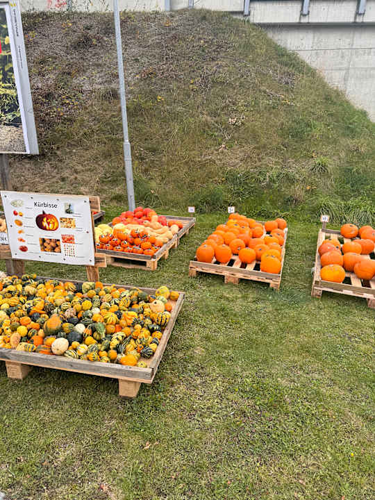 Sonstiges Sporthotel Royer