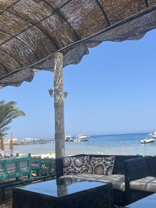 Gastro Lotus Bay Beach Resort