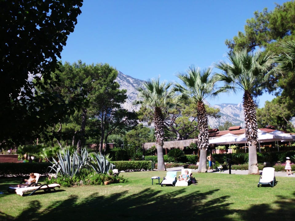 Liegewiese mit Blick zum Taurusgeb. Balmy Foresta