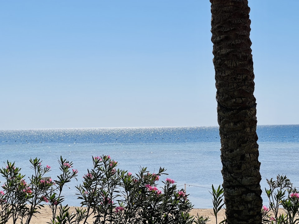 Ausblick Grand Makadi