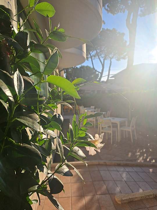 Gartenanlage Hotel Marebello