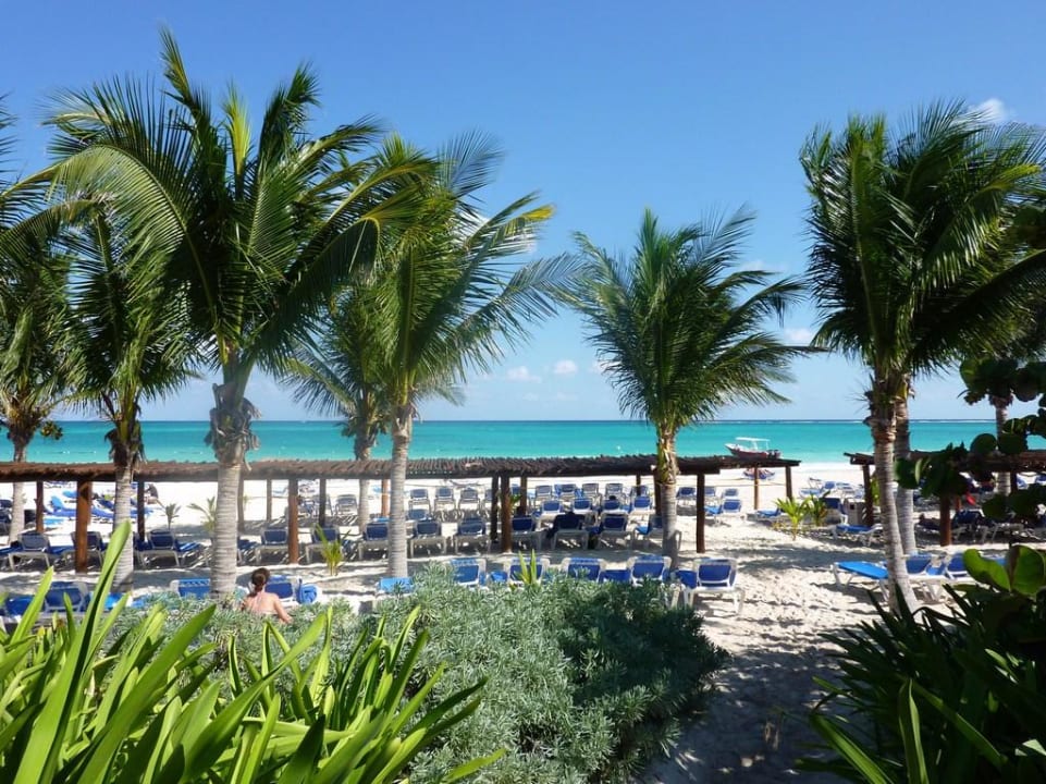 Blick vom Garten auf den Strand Catalonia Playa Maroma