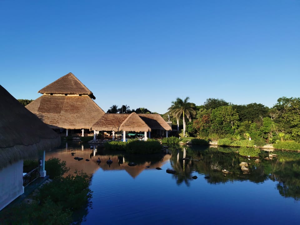 Gartenanlage TRS Yucatan Hotel - Adults only