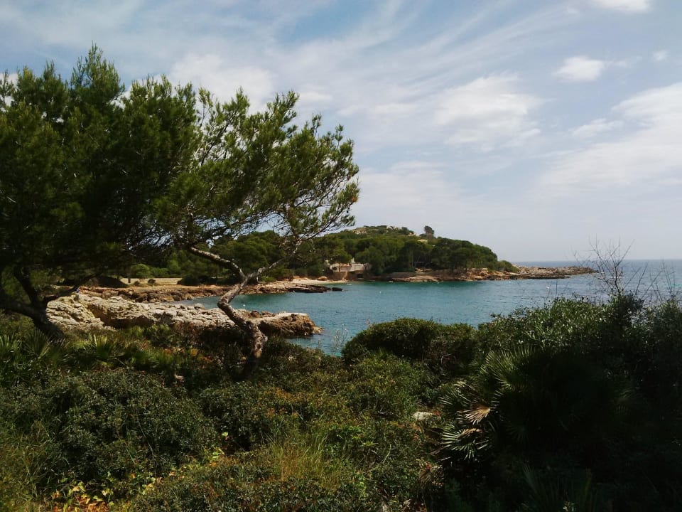 Bucht 2 - kuschelig klein, sehr ruhig Iberostar Waves Pinos Park