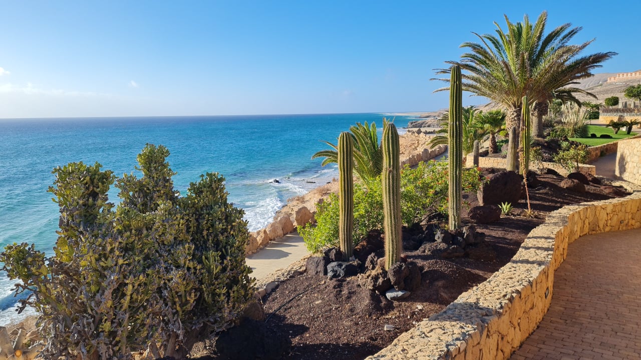 Ausblick R2 Pajara Beach