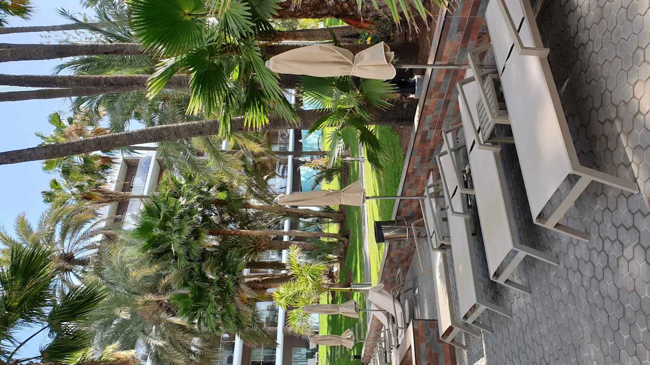Pool Hotel Riu Palace Oasis