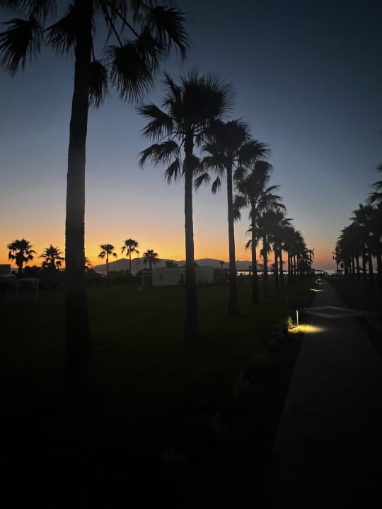 Gartenanlage Delfina Tropic Beach