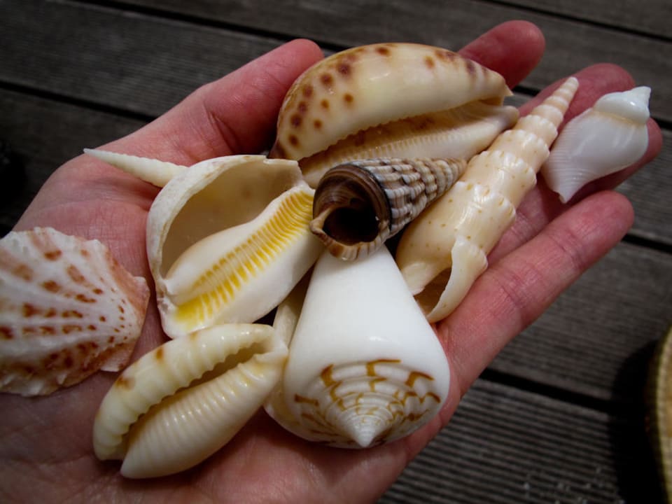 Strandgut Kuredu Island Resort & Spa