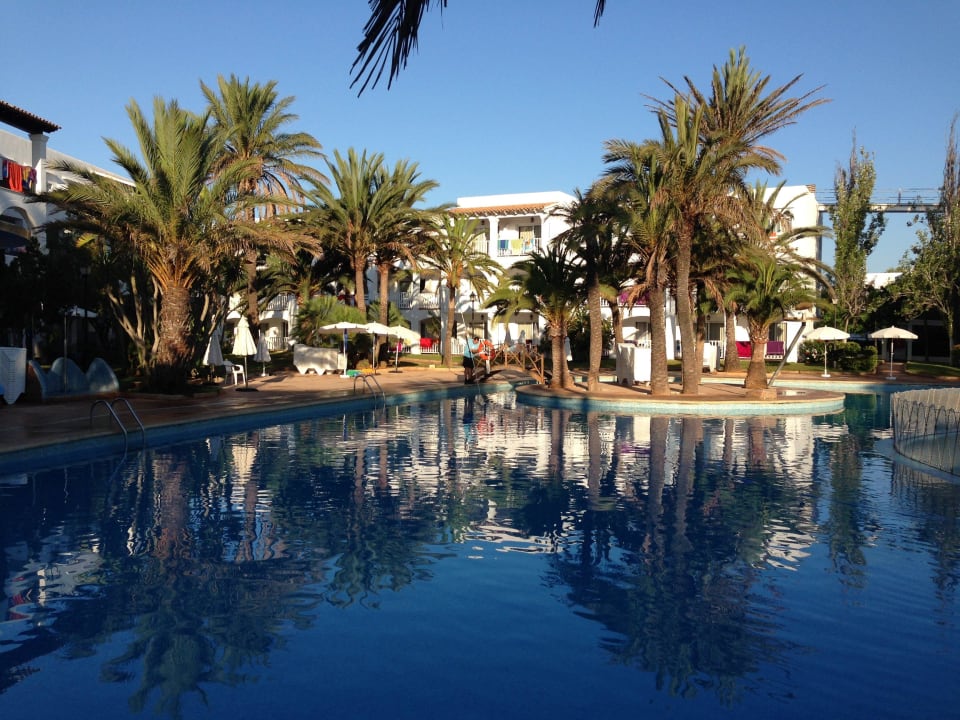 Morgen's um 8 Uhr Calimera Fido Gardens