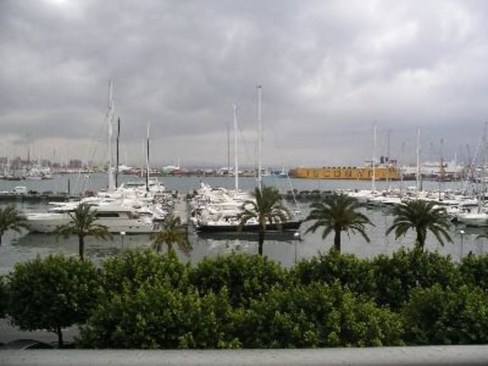 Ausblick Melia Palma Marina