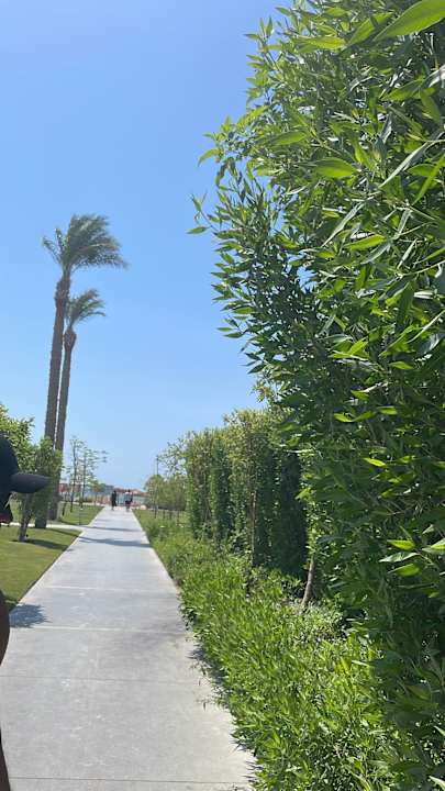 Außenansicht Steigenberger Resort Ras Soma