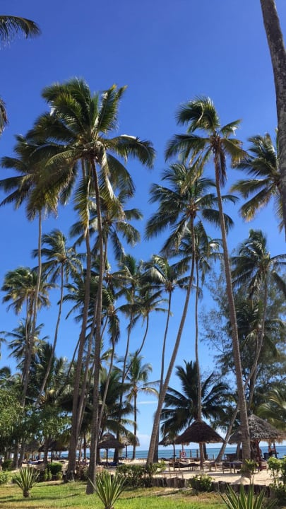 Gartenanlage TUI Blue Bahari Zanzibar