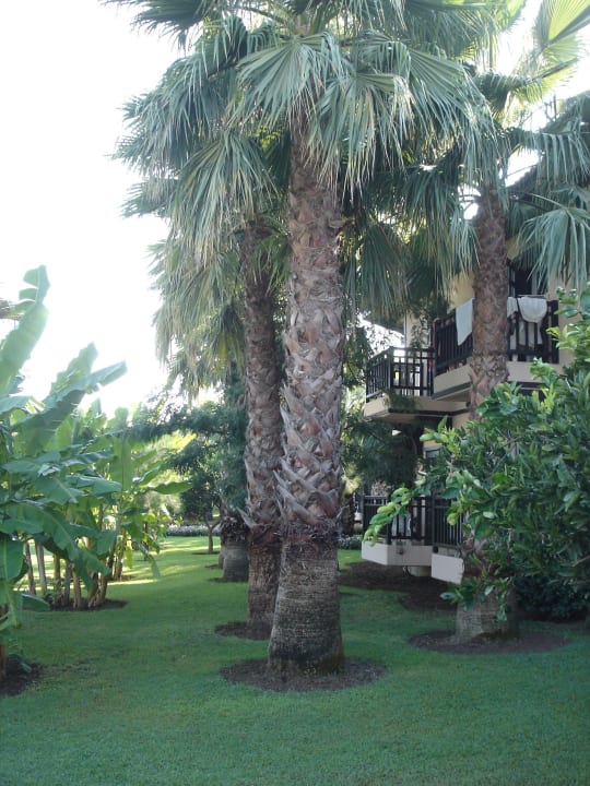 Starlight Convention          Starlight Resort Hotel