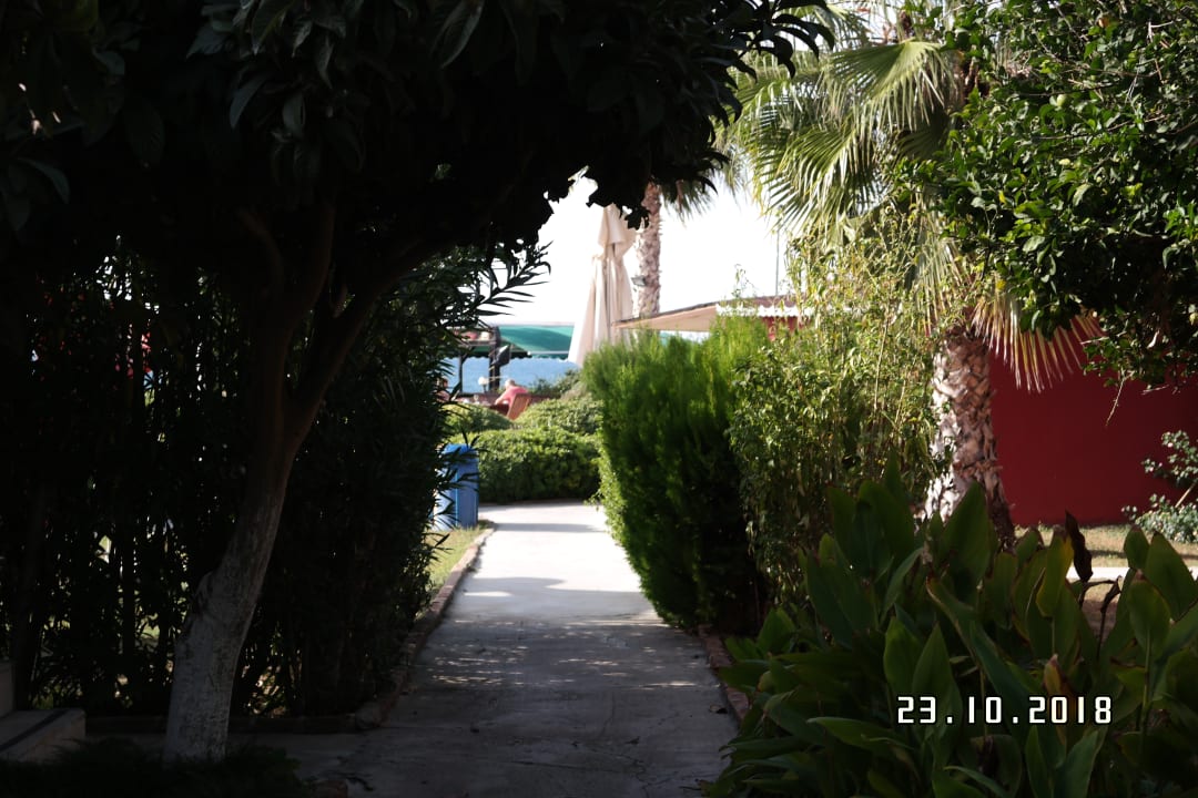 Gartenanlage Side Altinkum Hotel