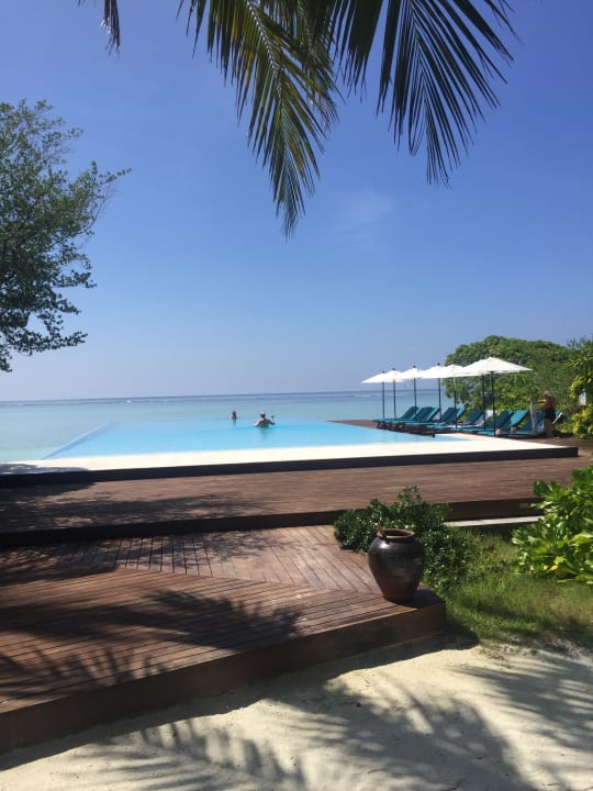Pool Summer Island Maldives