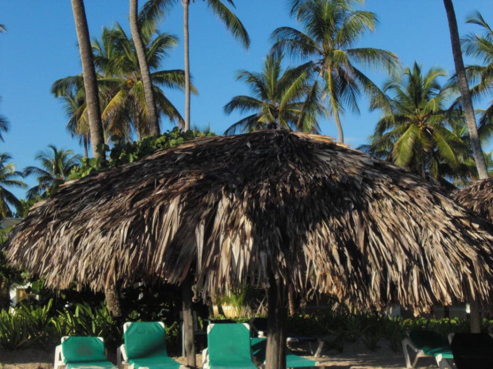 Toller Palmenstrand Grand Palladium Select Bávaro Resort & Spa