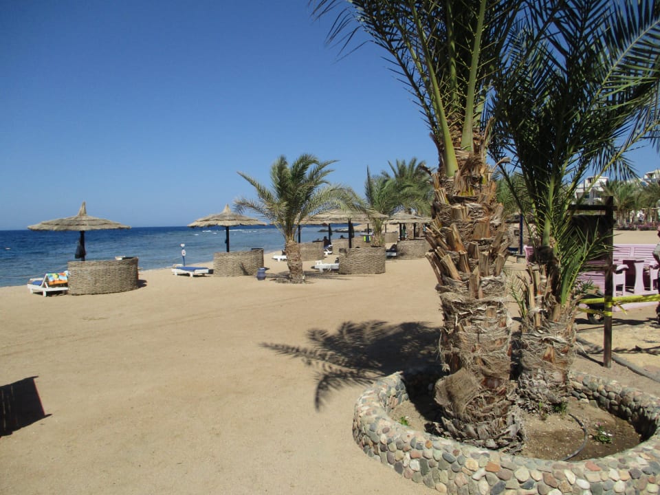 Strand Coral Sun Beach