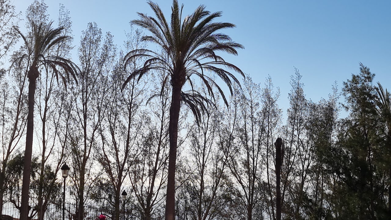 Ausblick R2 Rio Calma Hotel & Spa & Conference
