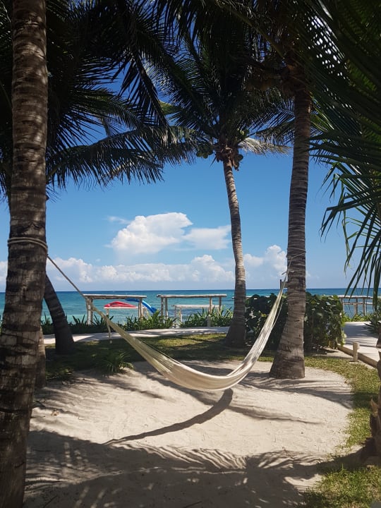 Gartenanlage Akumal Bay Beach & Wellness Resort