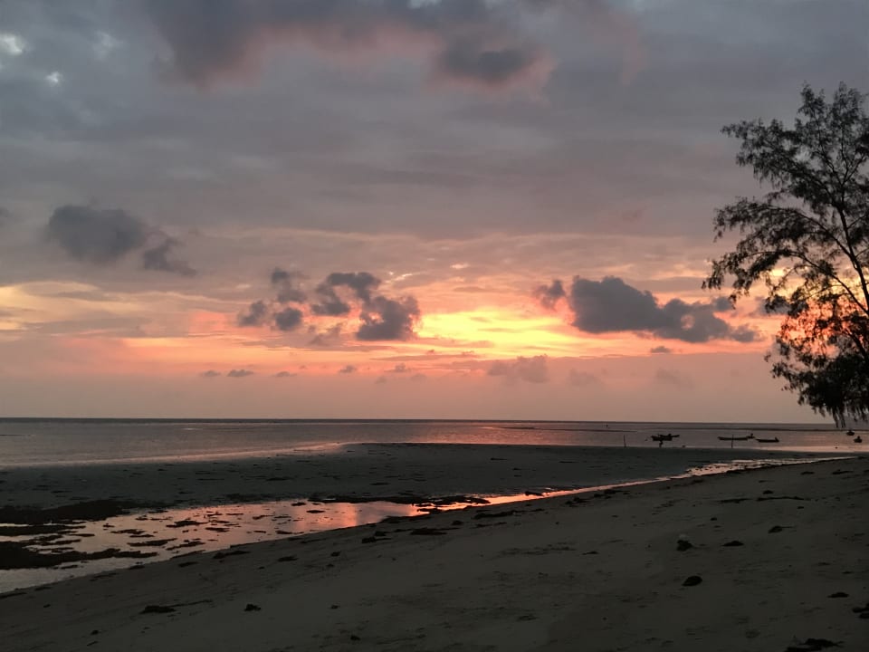 "Strand" Phangan Rainbow Bungalows (Ban Tai) • HolidayCheck (Koh ...