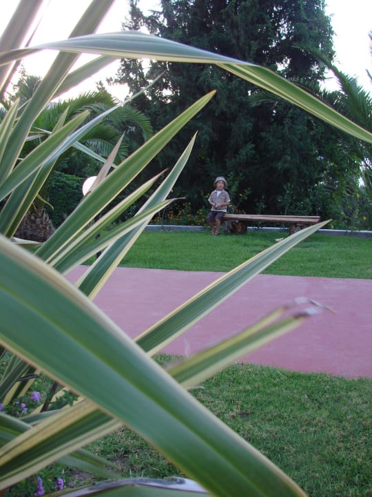 Schön grün Lindos Mare, Seaside Hotel