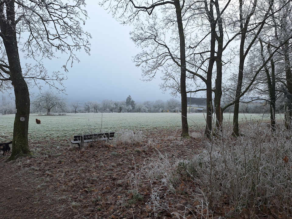 Ausblick Parkhotel Schillerhain
