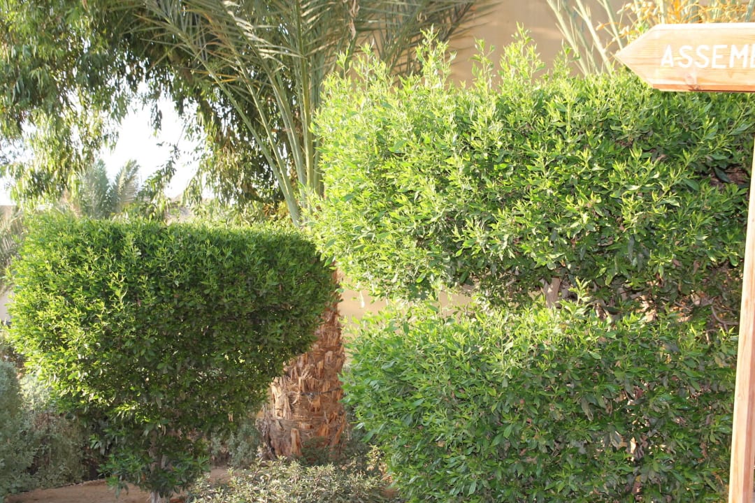 Grünanlage schön gepflegt Three Corners Rihana Resort Deluxe