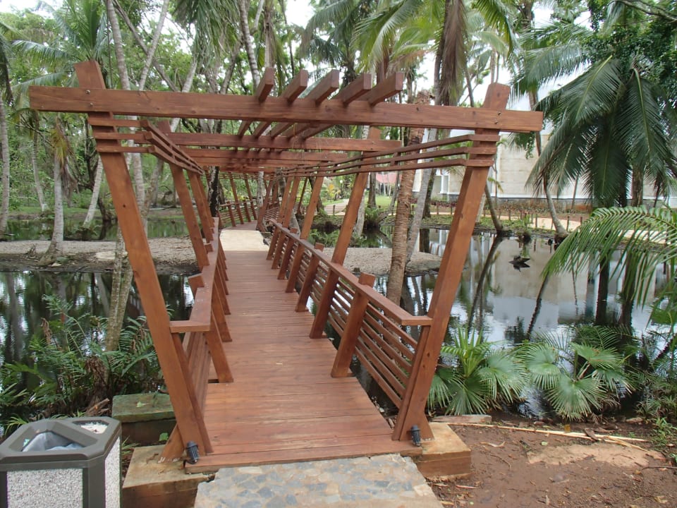 Zierteich mit Brücke Fischen und Schildkröten Wyndham Alltra Samana