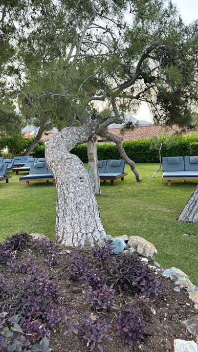 Außenansicht Rixos Premium Tekirova