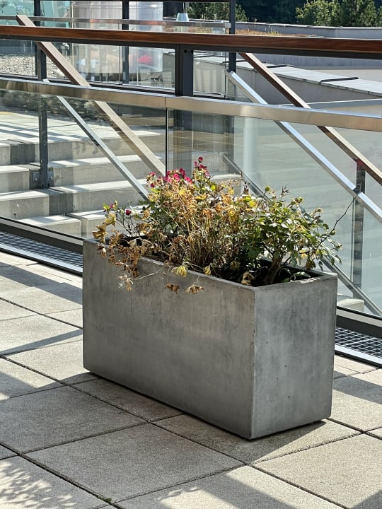 Außenansicht Linsberg Asia Hotel & Spa