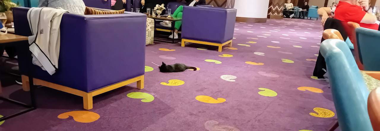 Lobby Royal Taj Mahal Hotel