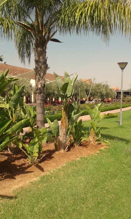 Gartenanlage Hotel Kenzi Club Agdal Medina