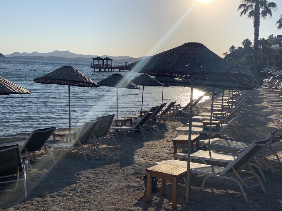 Strand TUI MAGIC LIFE Bodrum - Adult Only (16+)