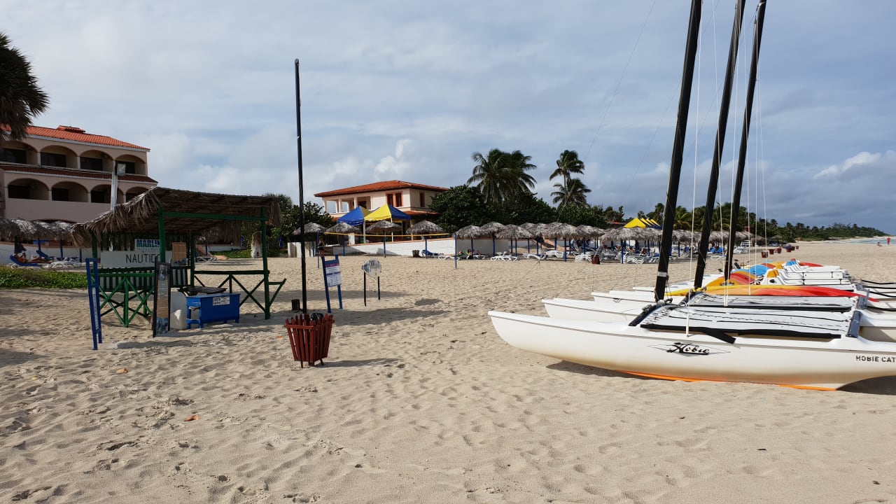 Strand Starfish Cuatro Palmas