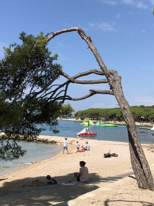 Strand Hotel IN Biograd