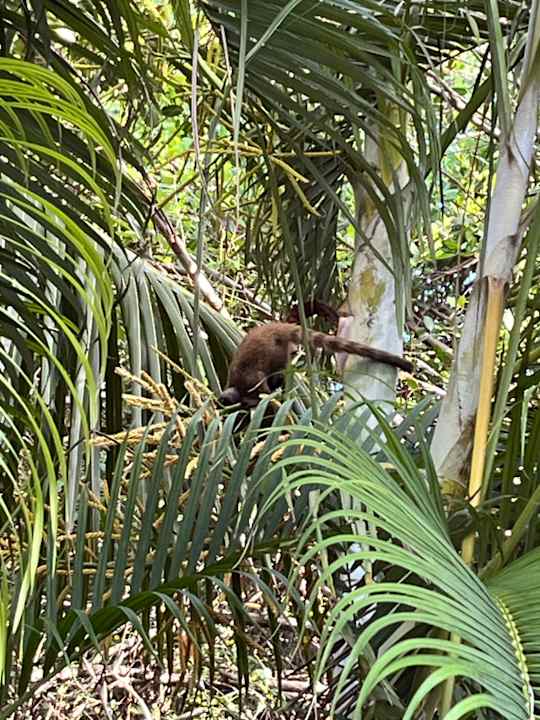 Gartenanlage Bahia Principe Grand Tulum