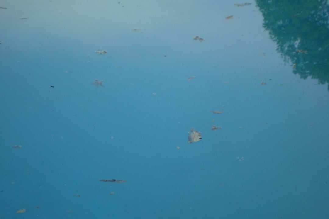 Wasser Hotel Ausspann