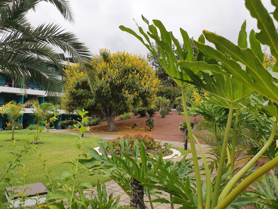 Gartenanlage TRH Taoro Garden