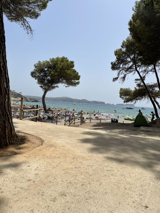 Strand allsun Hotel Bella Paguera