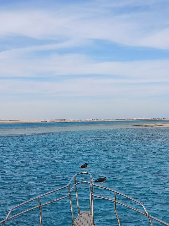 Zimmer Shams Safaga Resort