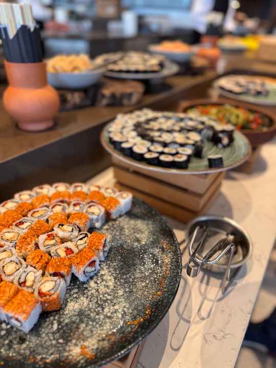 Gastro Paloma Finesse