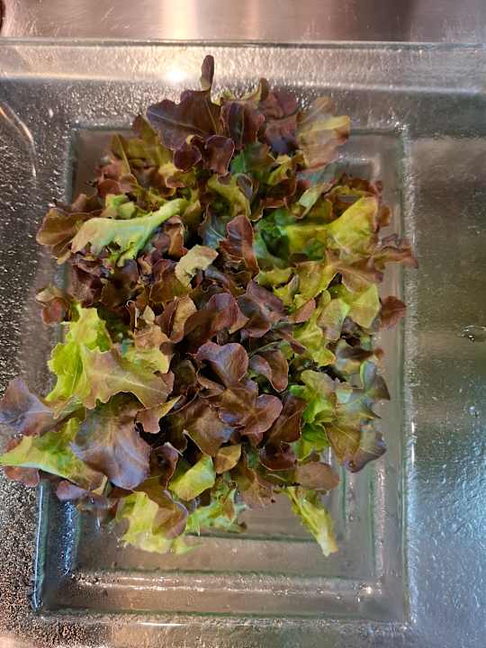 Gastro Laluna Hotel & Resort