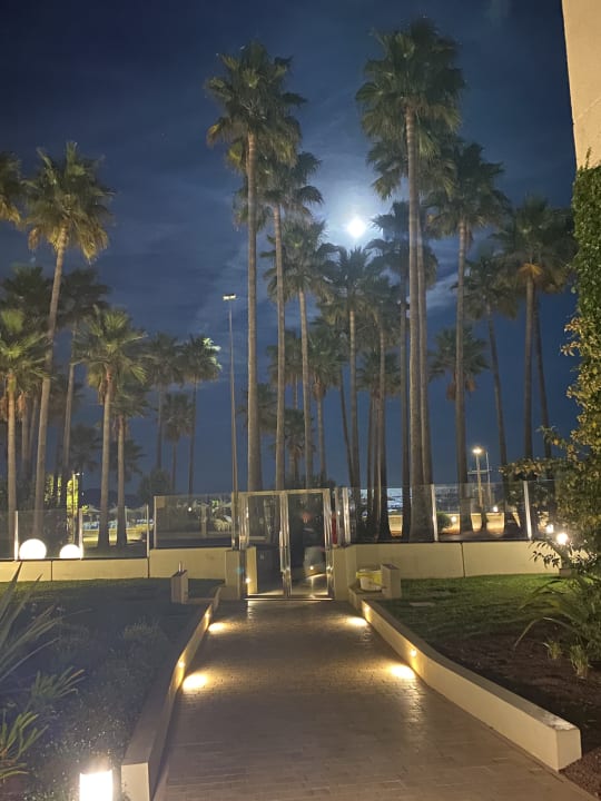 Gartenanlage Hipotels Mediterraneo Club