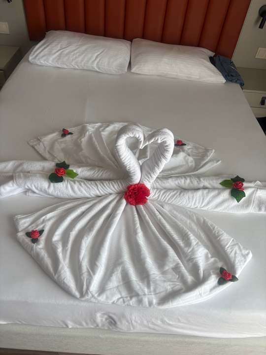 Zimmer Seaden Sea Planet Resort & Spa