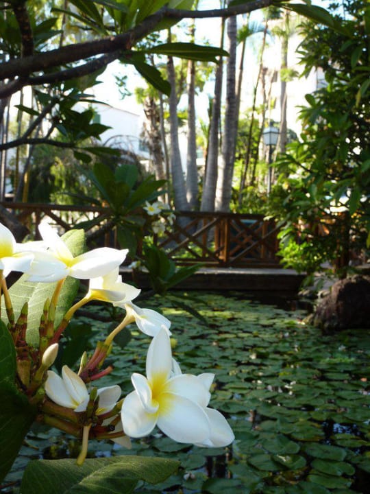 Garten Park Club Europe